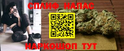 Альфа ПВП Будённовск