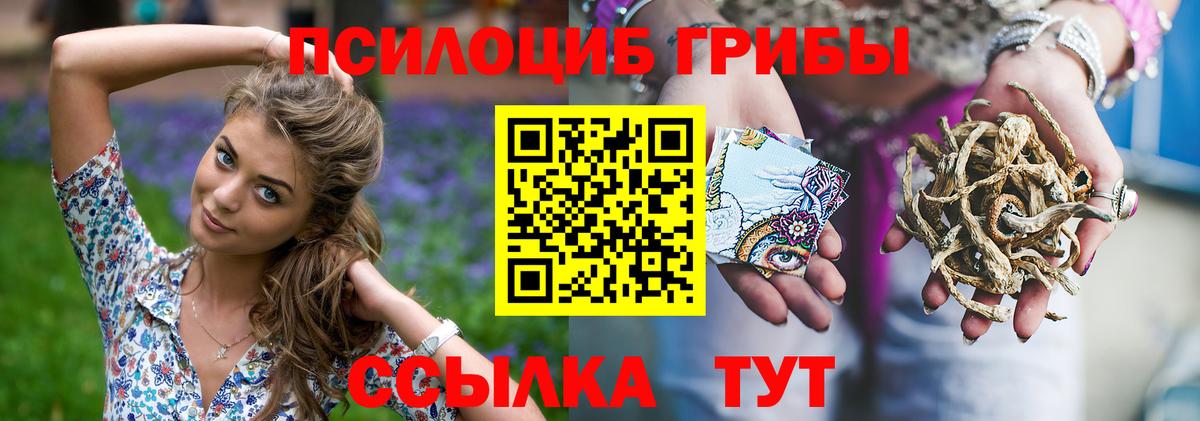 Псилоцибиновые грибы Cubensis  Вход с VPN  Менделеевск  Галлюциногенные грибы мицелий 