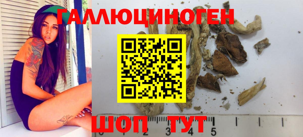 Галлюциногенные грибы Magic Shrooms Менделеевск
